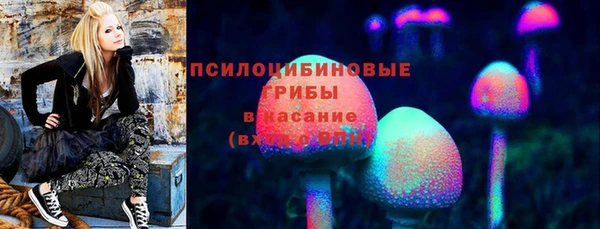 крисы Балахна