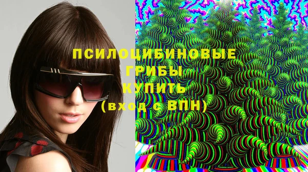 крисы Балахна